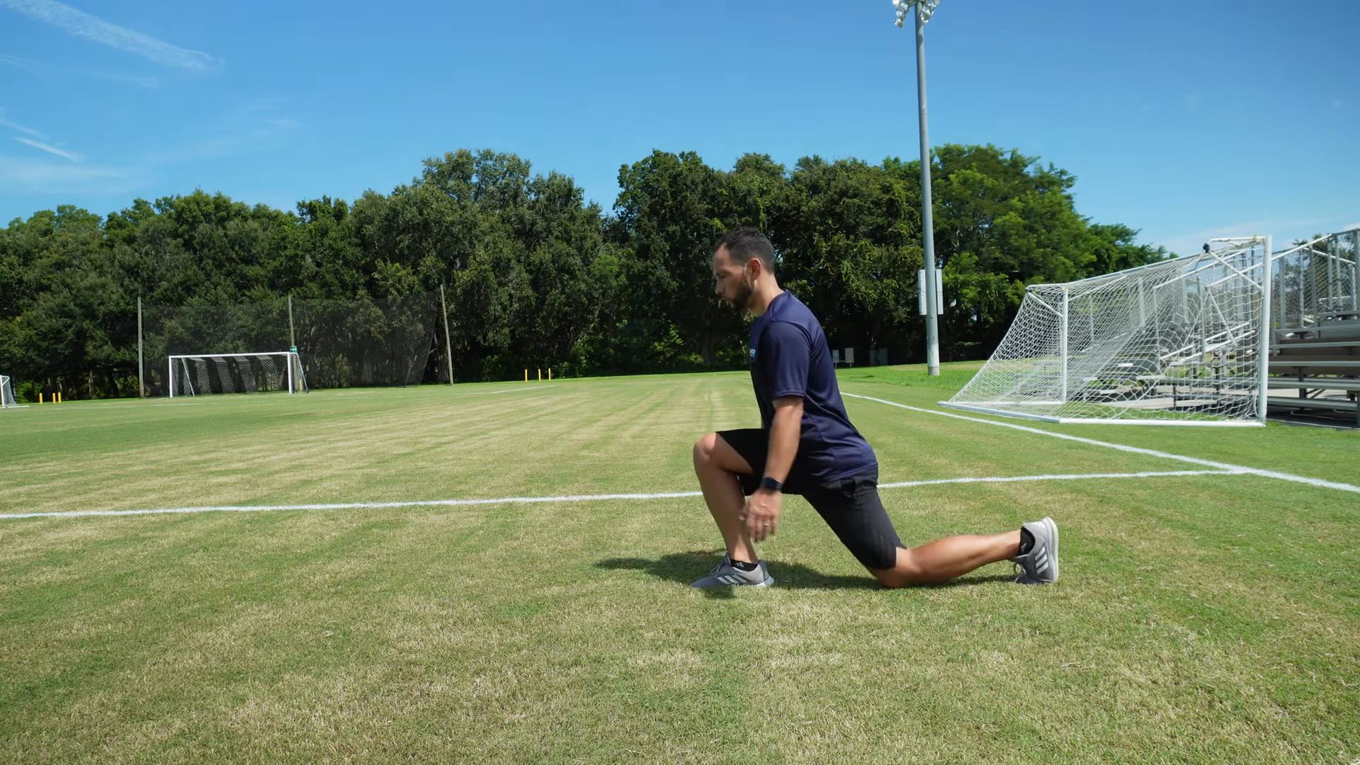 Reverse Lunges